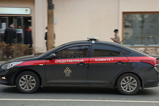 Педофил подглядывал за падчерицей с помощью игрушки: издевался 9 лет