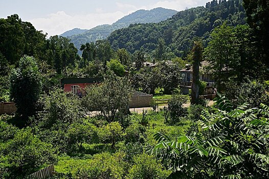 Аджарию в 2016 году посетили 1,4 миллиона иностранцев