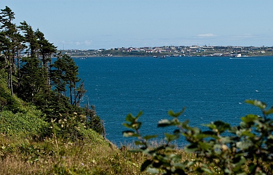 Сезон безвизовых обменов между Японией и Курилами завершен