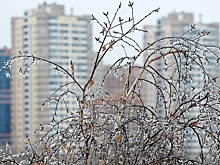 Москвичей предупредили о гололедице