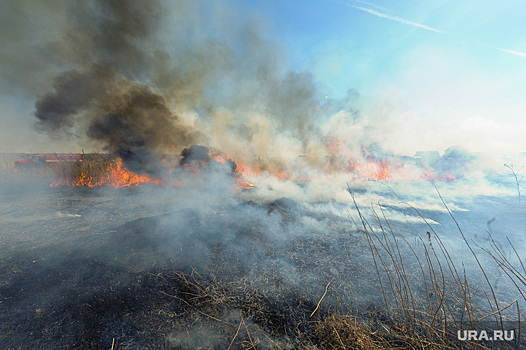«Сгорело все!»: Огонь из степи сжег десятки домов