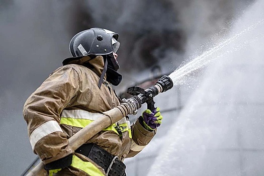 В Москве произошел крупный пожар на территории Тимирязевской академии