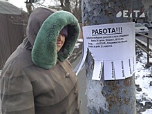 Достигли пиковых значений: в Кабмине рассказали, кто в России работает больше всех