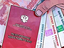 Законопроект о надбавке к пенсии для трудящихся ветеранов села внесут в Госдуму