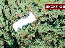 Обломки упавшей в Хабаровском крае ступени «Союза-2.1б» показали с вертолета