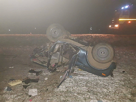 Двое погибших, пятеро раненых, четверо &ndash; дети: смертельное ДТП произошло в Сальском районе