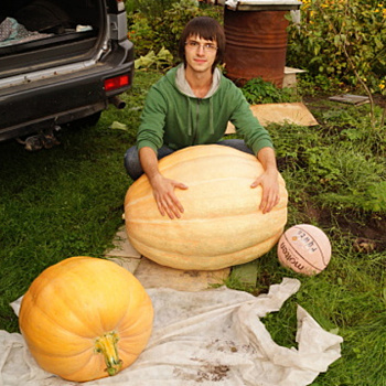 Рекордсменка с подмосковной дачи: как я вырастил тыкву-чемпиона