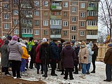 «Доводов не строить 9-этажку жители не предоставили»: чиновники высказались о вырубке рощи в Костроме