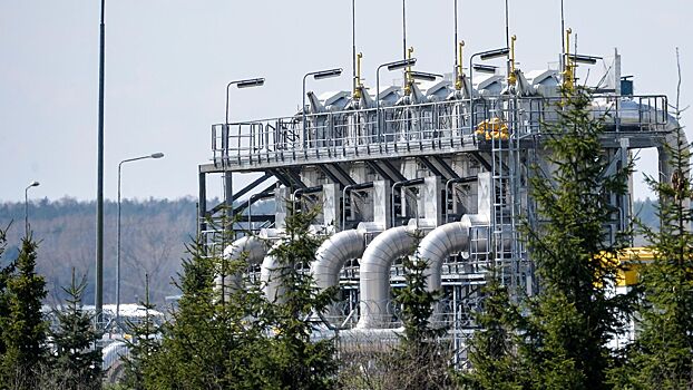 Европе пообещали сложности в поиске альтернатив российскому газу