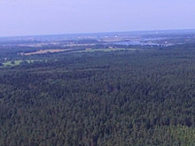 Число лесных пожаров в Тверской области уменьшилось в три раза в 2023 году