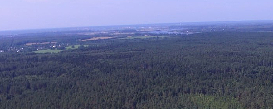 Число лесных пожаров в Тверской области уменьшилось в три раза в 2023 году