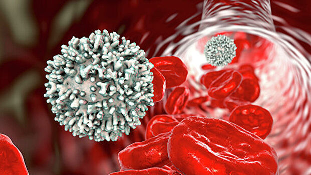 Ученые выяснили, как коронавирус поражает сосуды