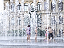 Всемирный день кошек и секреты кенгуру из Калининградского зоопарка: 10 августовских событий для детей