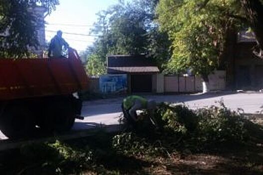 27 деревьев повалило ветром в Новочеркасске