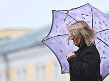 Шесть районов Ростовской области обесточены из-за непогоды