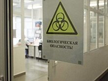 В России выявлено 24,8 тысячи случаев коронавируса