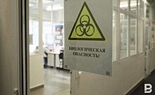 В России выявлено 24,8 тысячи случаев коронавируса