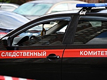 Полиция обнаружила тела жертв «Богородского маньяка»