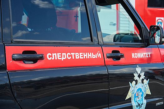 Соцсети: девочка избила на камеру сверстницу из детдома в Кузбассе
