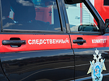 Пьяный велосипедист сбил трехлетнюю девочку в Кузбассе: Бастрыкин поручил возбудить дело