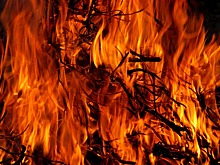 В Пензенской области значительно снизилось число лесных пожаров