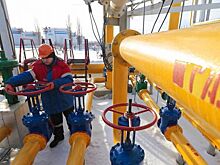 «Лучше уж российский газ, чем американская дрянь»