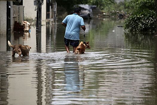 Более 50 человек погибли из-за сильных наводнений в Индии и Бангладеш