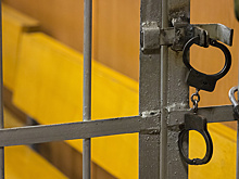 Вице-мэра Великого Новгорода задержали за детскую порнографию