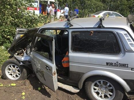 Под Орлом «Нива» врезалась в дерево