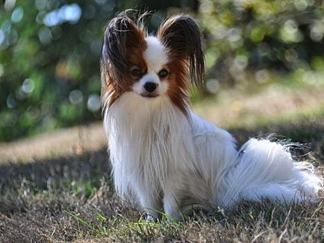 Турагент пропустил повестку в суд и чуть было не лишился 100 тысяч рублей