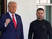 Профессор Малинен: Трампу нужно признать невозможность мира при Зеленском