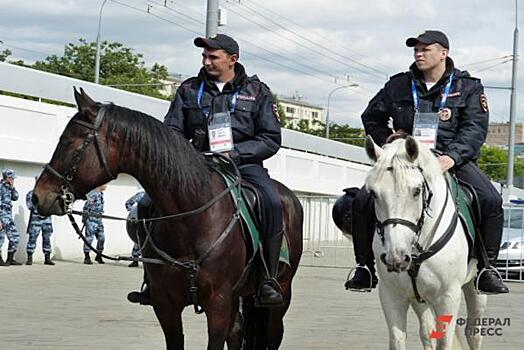 Глава Карачаево-Черкесии поручил выделить коней для полиции Севастополя