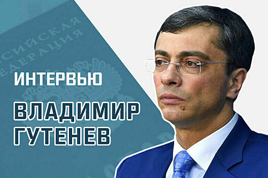 Депутат Владимир Гутенев рассказал, за какие нарушения мигрантов смогут лишить приобретенного российского гражданства