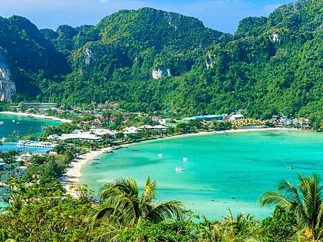 АТОР: туроператоры не получали сообщений о заболевании россиян лихорадкой денге в Таиланде