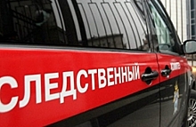 В Мурманской области автомобиль ППС сбил ребенка