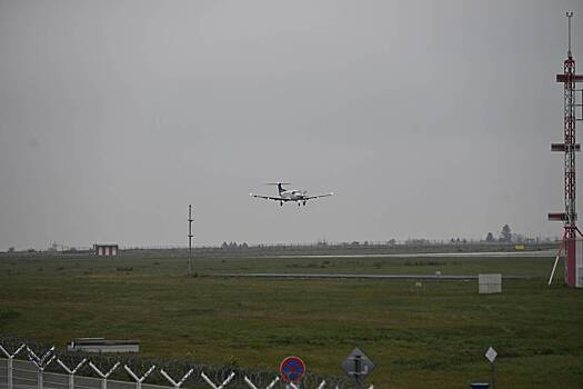 Легкомоторный самолет столкнулся с кенгуру во время посадки