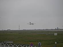 Легкомоторный самолет столкнулся с кенгуру во время посадки