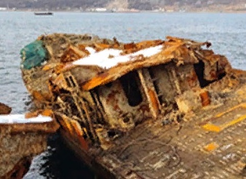 В Ростовской области намерены очистить Азовское море от затонувших кораблей