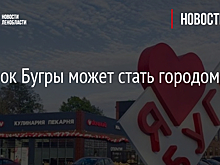 Поселок Бугры может стать городом
