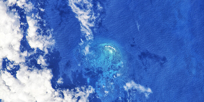 Древние морские существа обнаружены в Тихом океане