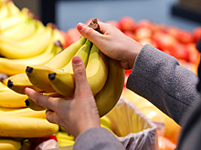 Бананы могут исчезнуть из магазинов