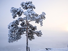 Российский регион стал самым холодным местом на Земле