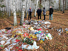 «Смотреть на это печально»: в ярославском лесу нашли шестикилометровую свалку