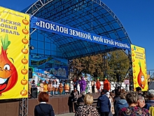 В Волгоградской области прошел Луковый фестиваль