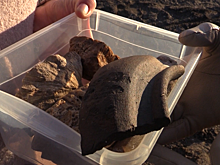 Артефакты 14‐го века обнаружили на дне Волги жители Дубны