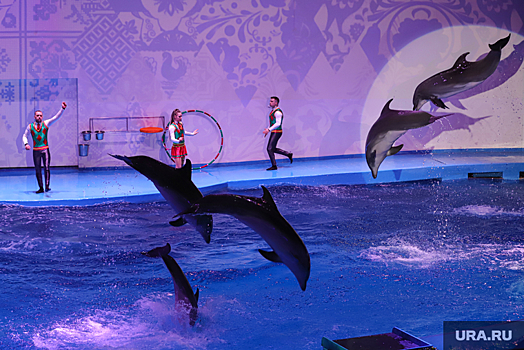 В ХМАО покажут уникальное шоу цирка на воде