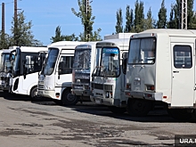 В Кургане уход перевозчиков решат покупкой новых автобусов