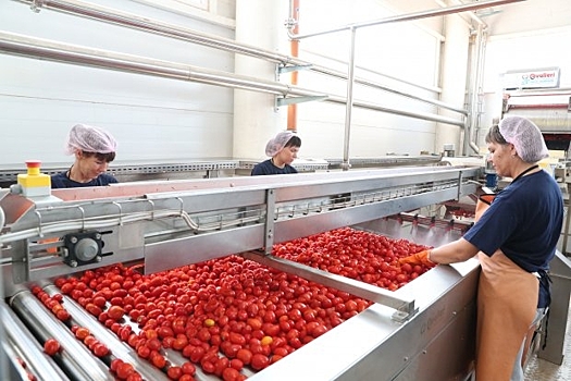 Волгоградские сельхозкооперативы укрепляют производственную базу