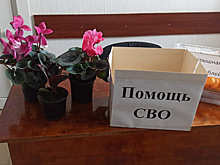 Новомалороссийцы собрали более 20 тысяч рублей на благотворительной ярмарке