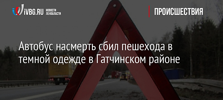Автобус насмерть сбил пешехода в темной одежде в Гатчинском районе